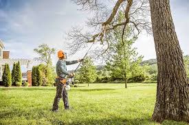 How Our Tree Care Process Works  in  Camp Hill, PA